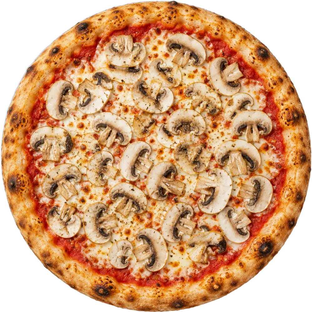 Pizza Funghi mit Champignons von oben